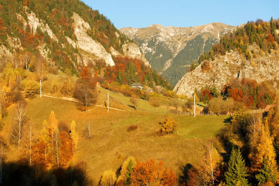 Scenic view of trees and mountains during autumn