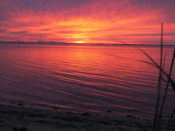 Scenic view of sea against sky at sunset