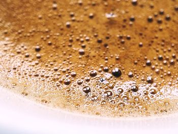 Close-up of coffee in water