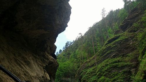 Low angle view of mountain