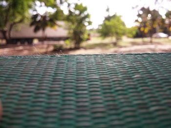 Close-up of swimming pool in park