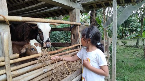 Full length of woman standing in pen