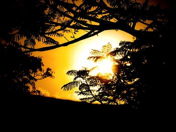 Silhouette tree against sunset sky