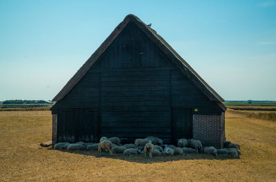 View of barn on field against sky