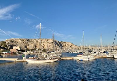 Sailboats moored in harbor against blue sky