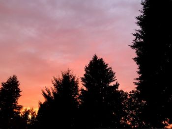Low angle view of silhouette trees against sky during sunset