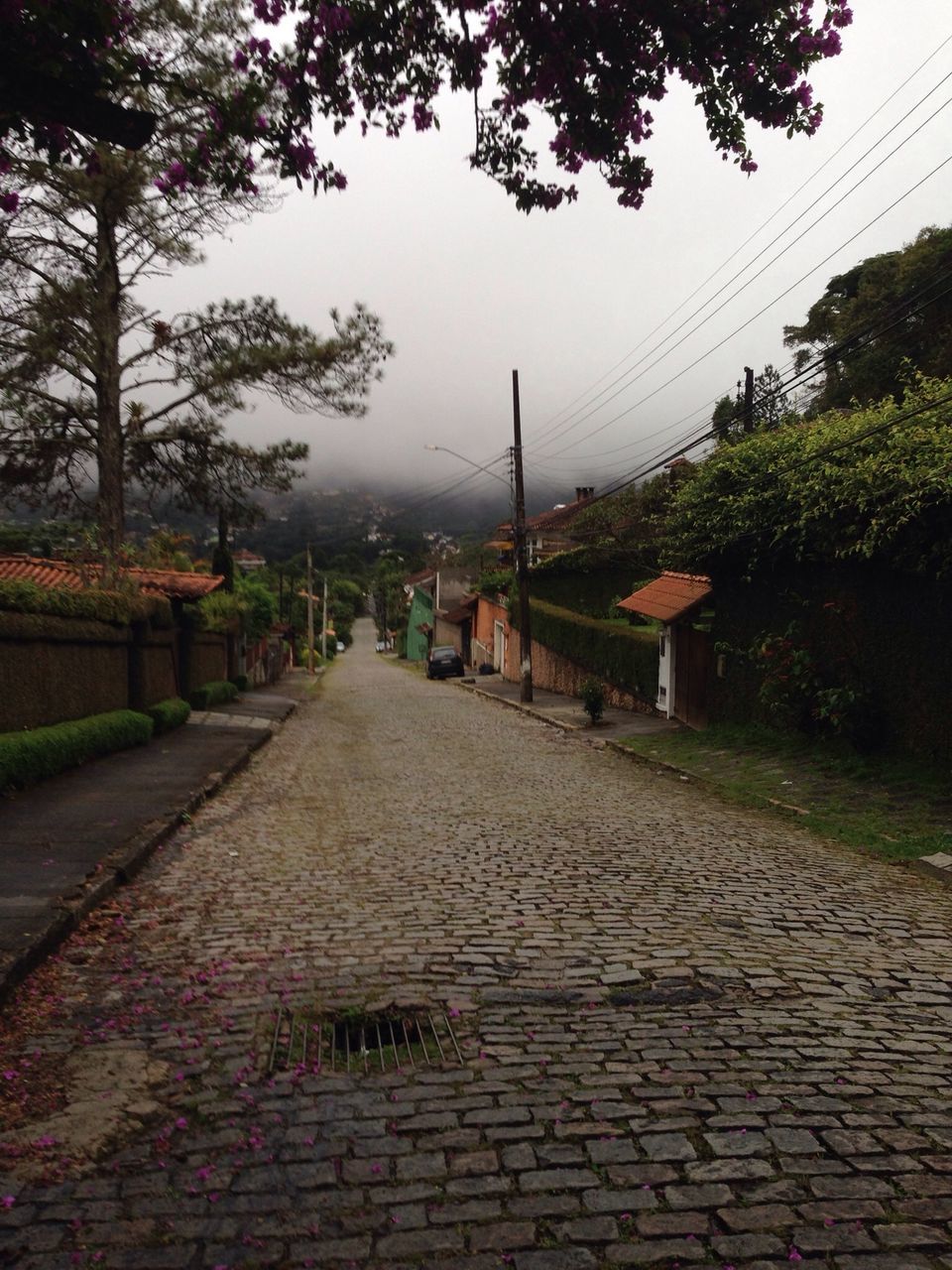 the way forward, tree, building exterior, cobblestone, diminishing perspective, architecture, built structure, vanishing point, street, sky, footpath, empty, road, street light, transportation, paving stone, city, long, walkway, outdoors