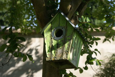 Low angle view of birdhouse hanging on tree