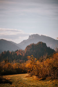 Trees on landscape against sky during autumn