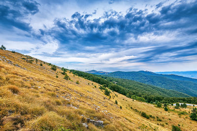 Scenic view of landscape against sky