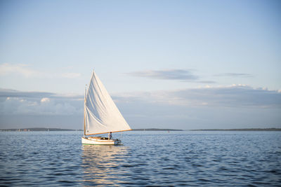 Sailboat sailing on sea against sky