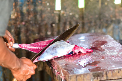 fish