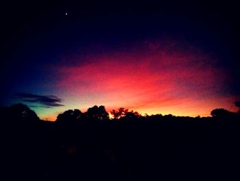 Low angle view of silhouette trees against dramatic sky