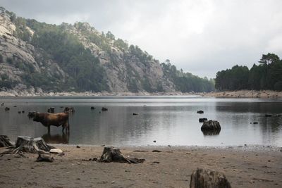 Scenic view of lake against sky