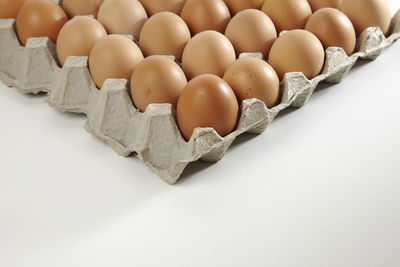 Close-up of eggs in cartoon on white background