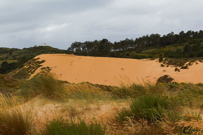 Scenic view of sand dune against sky