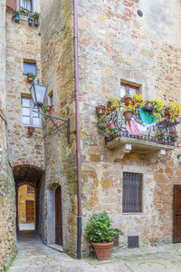 Low angle view of potted plants on old building