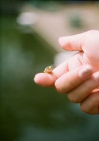 Close-up of hand holding small leaf