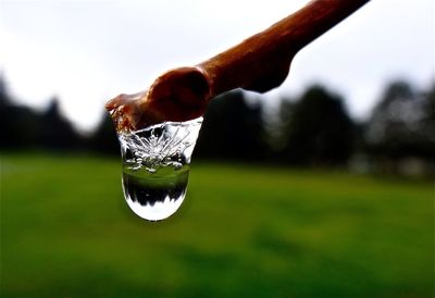 Close-up of water drops on leaf