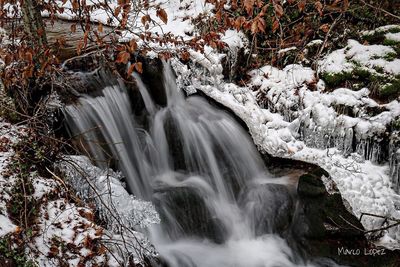 Low angle view of waterfall in forest