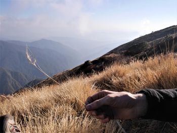 Cropped hand of man holding grass on mountain against cloudy sky