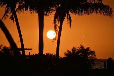 Low angle view of silhouette palm trees during sunset