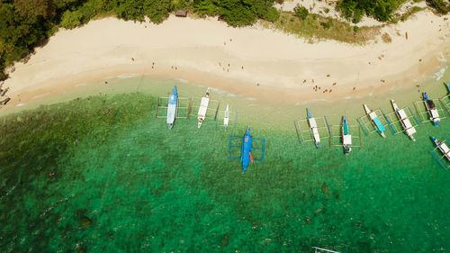 Aerial drone tropical island with sandy beach, green foliage and palm trees. helicopter island