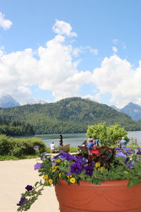 Scenic view of flowering plants by mountains against sky