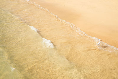 High angle view of surf on beach