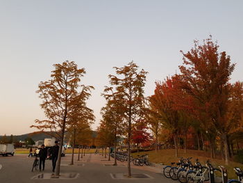 People in park during autumn against clear sky