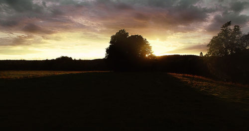 Silhouette trees on field against sky during sunset