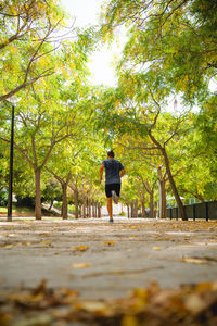 Rear view of woman walking on footpath amidst trees