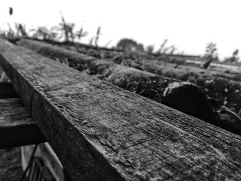 Close-up of wood against sky