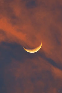 Low angle view of moon at sunset