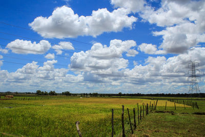 Scenic view of agricultural field against sky