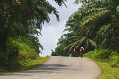 Men cycling on road amidst trees against sky