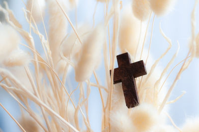Close-up of cross against plants