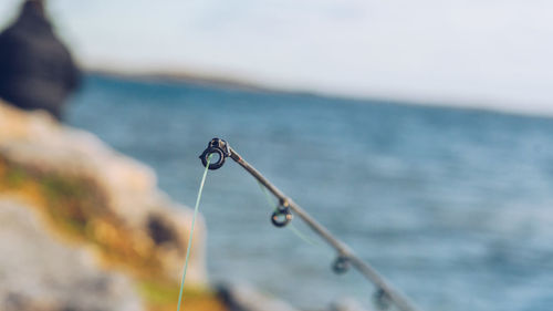 Close-up of fishing rod by sea against sky