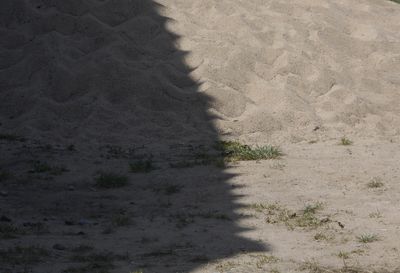 soil