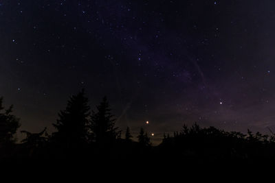 Low angle view of silhouette trees against sky at night