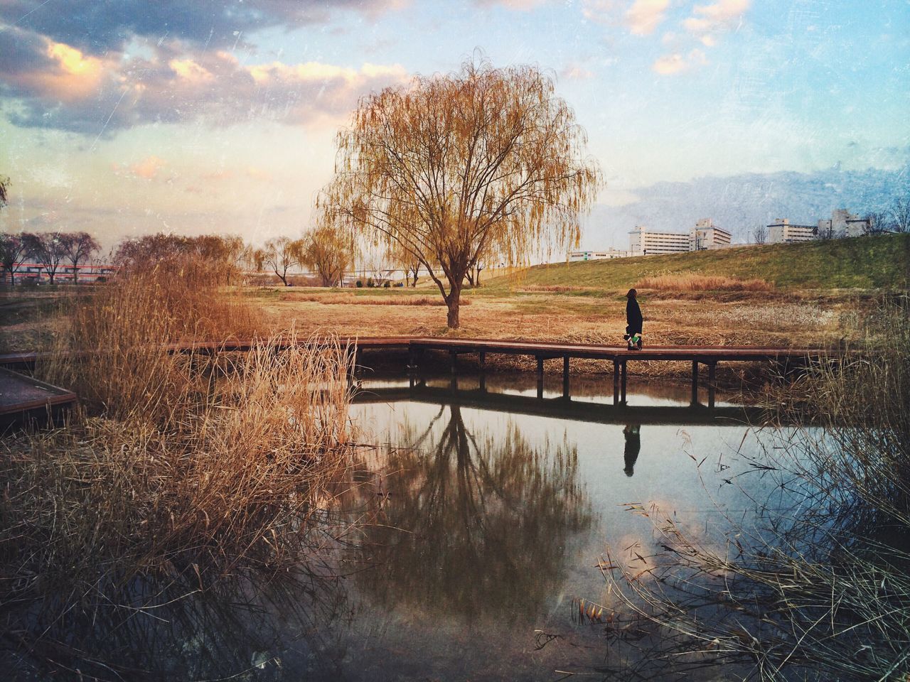 water, tree, tranquility, sky, tranquil scene, lake, reflection, nature, scenics, beauty in nature, river, cloud - sky, landscape, bare tree, field, grass, outdoors, riverbank, growth, idyllic