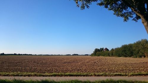 Scenic view of field against clear blue sky