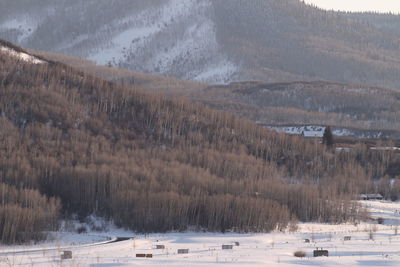 Scenic view of snow field against sky