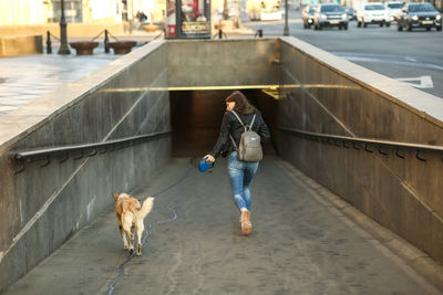 Rear view of woman with dog walking into subway