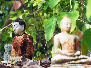 Close-up of lord buddha statue against tree