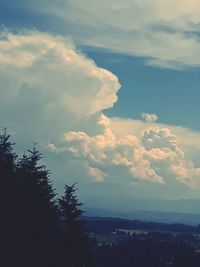 Scenic view of trees against sky