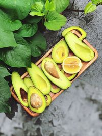 High angle view of avocado in plate on table