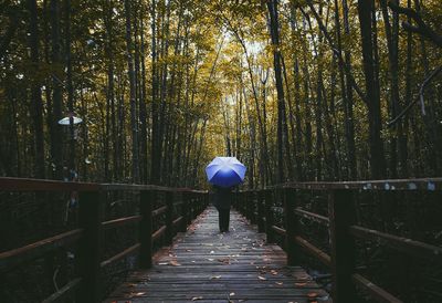 Rear view of person with blue umbrella standing on bridge amidst trees