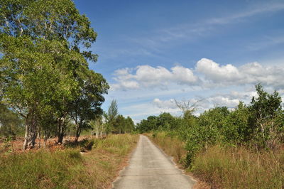 Road amidst trees on field against sky