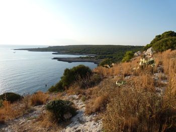 Scenic view of sea against clear sky